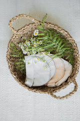 1+ in the family Gio muts misty-blue