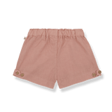 1+ in the family Lara short coral