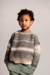 Baje Studio Bern trui Grey melange multicolor