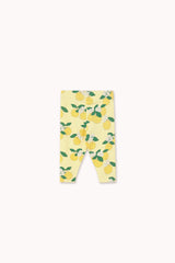 Tinycottons Oranges Rib Baby Pant