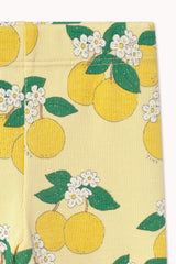 Tinycottons Oranges Rib Baby Pant