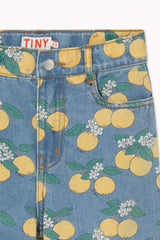 Tinycottons Oranges Denim Jeans