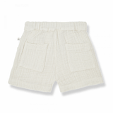 1+ in the family shorts Gianni ivory