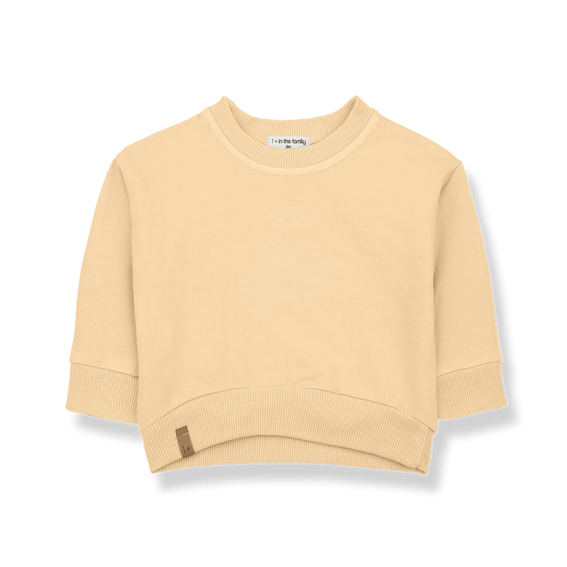 1+ in the family Esteban sweater peach