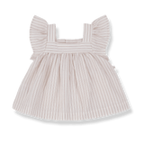 1+ in the family top VENTALLO rose
