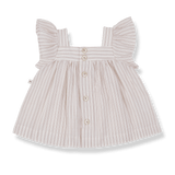 1+ in the family top VENTALLO rose