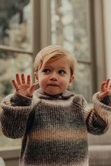 Baje Studio Bern trui Grey melange multicolor