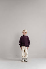 Jenest Jnst sweater cherry bordeaux