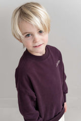 Jenest Jnst sweater cherry bordeaux