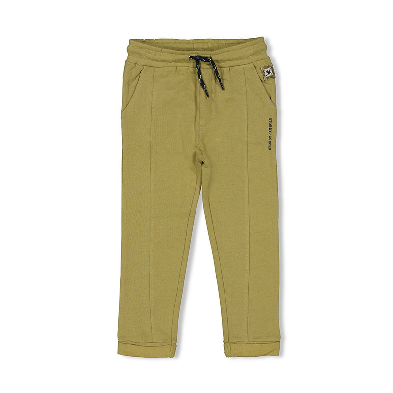 Sturdy Broek Groen - Coastal Cool