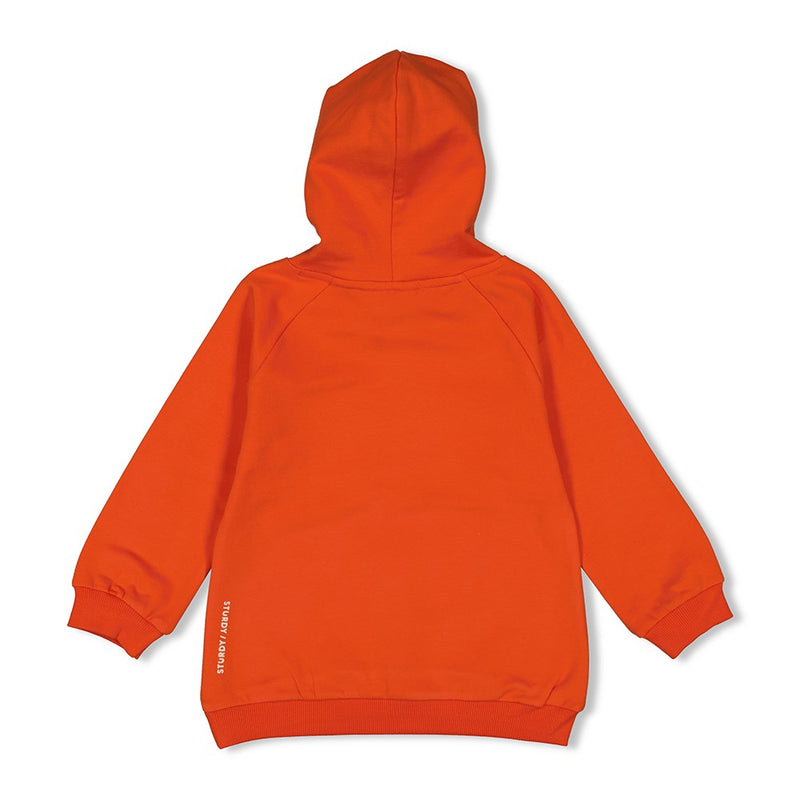 Sturdy Hoody Oranje - Jump For Joy