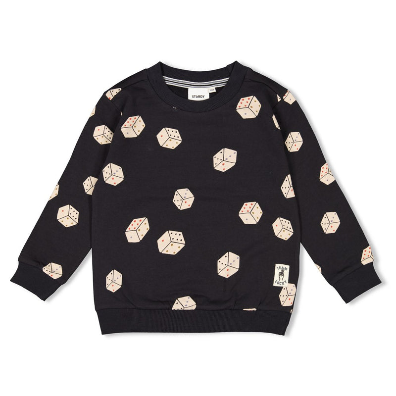 Sturdy Sweater AOP  Zwart - Couch Club